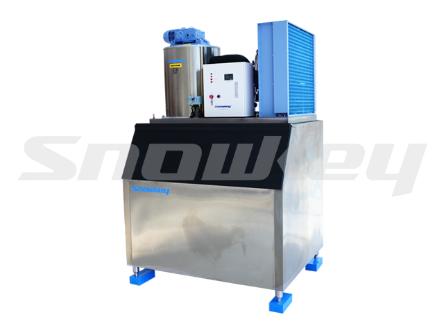 Flake Ice Machine F10A (1T/D + Storage)